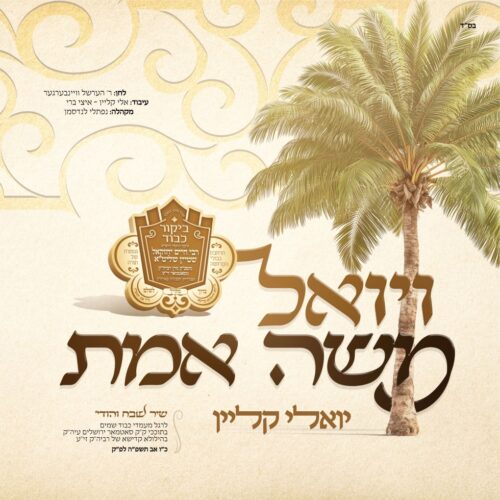 ויואל משה אמת - יואלי קליין | גינגל - פזמון בלבד!