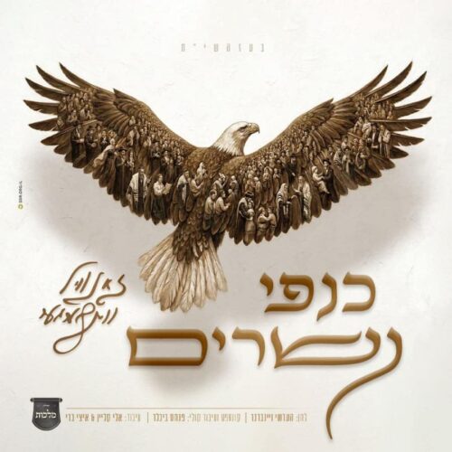 פלייבק ווקאלי | כנפי נשרים | זאנוויל וינברגר | מופק באמצעות שירה מהפה בלבד!