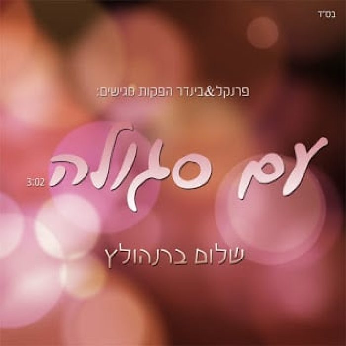 שלום ברנהולץ - עם סגולה - תמונה