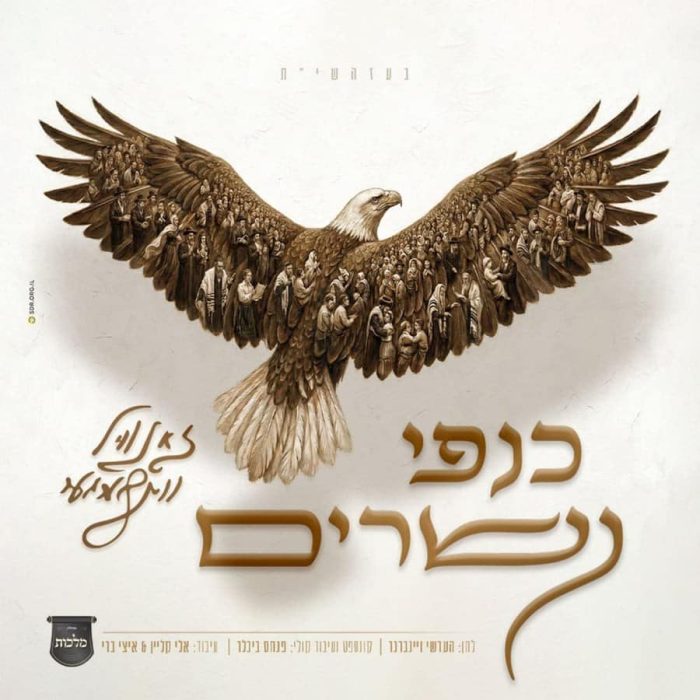 כנפי-נשרים-זאנוויל-ויינברגר-mp3-image
