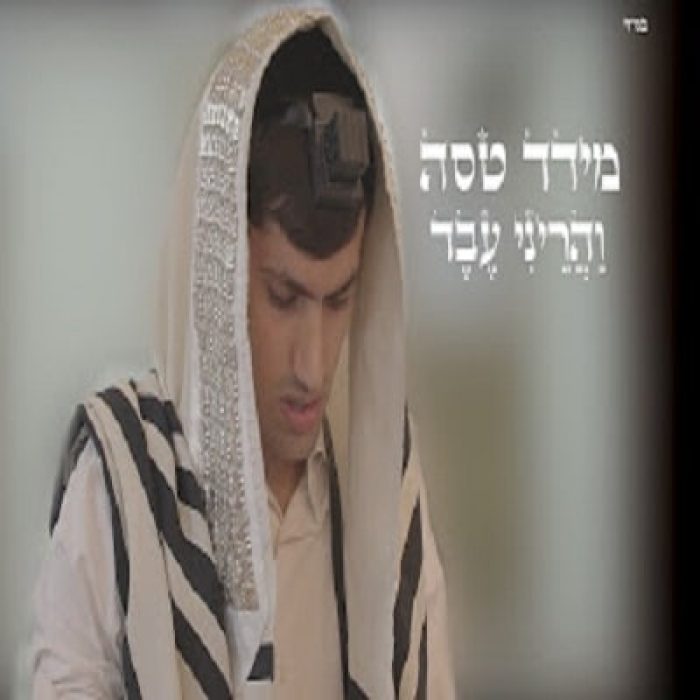 מידד טסה - והריני עבד - תמונה