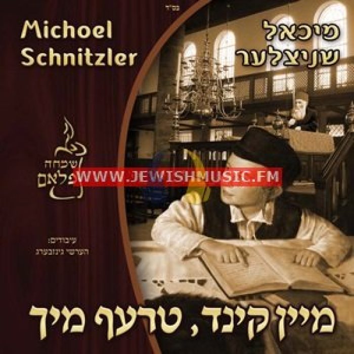 מיכאל-שניצלר-שמחה-פלאם-מיין-קינד-טרעף-מיר1